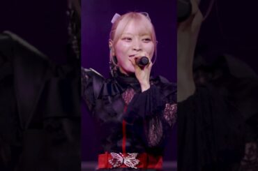 ♪ パルス Live ver. #ringwanderung  #idol #idol