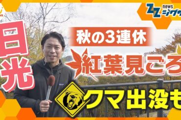 【紅葉 見ごろ】秋の3連休　クマ出没で登山道閉鎖も…栃木県・日光から中継　【ニュース ジグザグ】