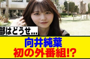 向井純葉、ソロで初の外仕事に！！！[櫻坂46]