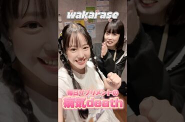 ワカラセがまたオサワガセ！　#地下アイドル #佐倉雅　#アイドル　#ライブ　#告知動画