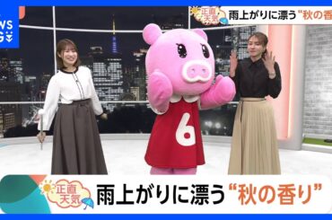 【10月28日 関東の天気】雨上がりに漂う“秋の香り”｜TBS NEWS DIG
