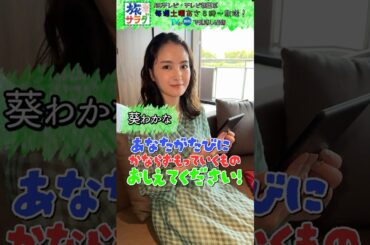 【私物調査】#葵わかな が旅に持っていく私物は？ #旅サラダ  #shorts  #芸能人 #私物