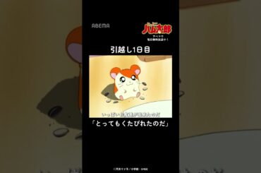 引越し1日目はくたびれるよね… ｜「とっとこハム太郎」アベマでは毎日無料配信中！#shorts