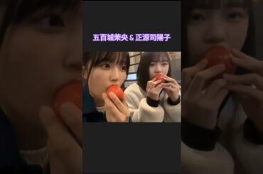 プチ暴露される #五百城茉央 #正源司陽子 #乃木坂46 #日向坂46