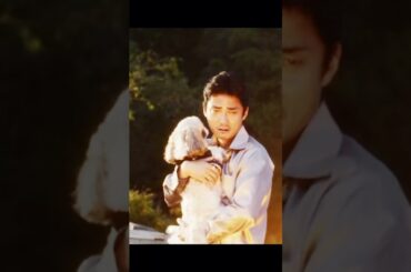 崩れゆく秩序、誰が街を支配するのか？#shorts #movie #映画 #孤狼の血