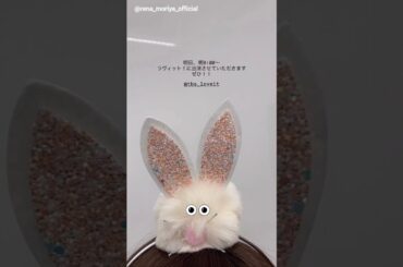 守屋麗奈 明日11月4日朝8:00～『ラヴィット！』に出演します！