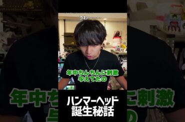 ハンマーヘッドシャーク誕生秘話 #けんき