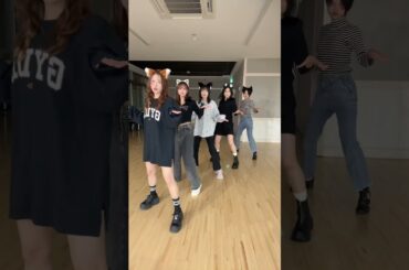 モーニング娘。'25  『はちゃめちゃわちゃライフ！FRUITS ZIPPER』