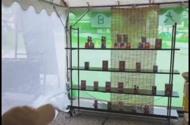 元乃木坂46 橋本奈々未 卒業後の姿