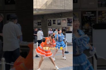 【こちらに気づいた瞬間、可愛すぎました！】#TwinkleTroupe #花咲花奈 #ライブアイドル #地下アイドル #大阪アイドル #アイドル #関西アイドル #大阪 #dance #推し #推し活