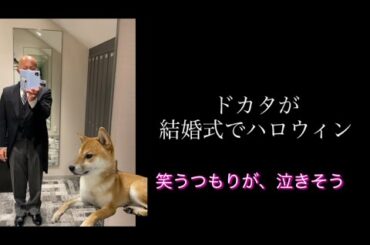 【柴犬飼い主55歳】 飼い主モーニングを着る。理由は聞かないでくれ！