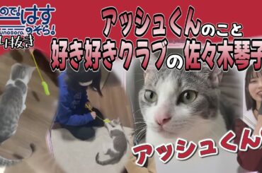【せーはす切り抜き】アッシュくんの唾液オイル アッシュくんを愛する佐々木琴子集