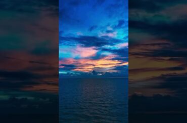 控えめにと言いつつ大量にバターをパンに塗る水卜アナwwwww #面白い #おもしろ #tiktok #Twitter #2ch #5ch