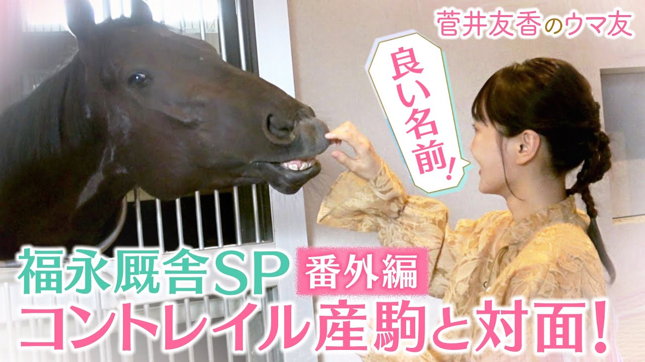 「すごく良い子で優等生」福永厩舎の気になるコントレイル産駒が登場!さらに厩舎の内部を見学!馬術部出身のゆっかーが気になるスペースが!<菅井友香のウマ友になってくれませんか?> 「すごく良い子で優等生」福永厩舎の気になるコントレイル産駒が登場!さらに厩舎の内部を見学!馬術部出身のゆっかーが気になるスペースが!<菅井友香のウマ友になってくれませんか?>