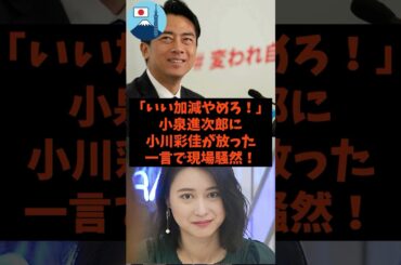 「いい加減やめろ！」小泉進次郎が小川彩佳に放った一言で現場騒然！#shorts #tbs #自民党 #立憲民主党 #小泉進次郎