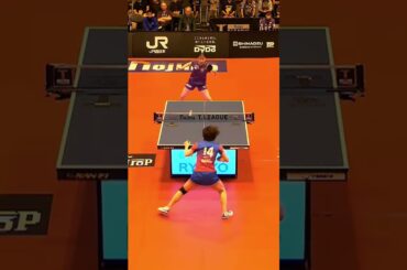 #出雲美空 照井雄太が選ぶスーパープレー「動じない」 京都カグヤライズ vs 木下アビエル神奈川 ノジマTリーグ2025-202610月12日(日)山科地域体育館実況解説なし【卓球 Tリーグ公式】