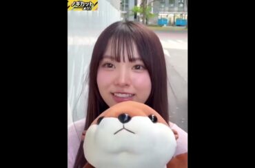 カワウソに似ている森平麗心🦦#乃木坂46 #森平麗心 #乃木坂 #かわいい #週末