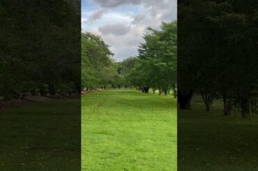 トキメク#空野青空 #nature #自然が好き