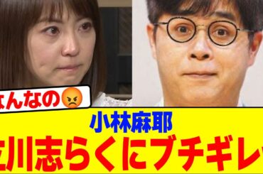 小林麻耶が立川志らくにブチギレwwwwwwwwwwwwwwwwwwwwwwwwwwwwwwwwwwwwwwwwwwwwwwwwwwwwwwwwww【2chまとめ】【2chスレ】【5chスレ】