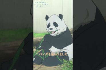 お兄ちゃんの妹になれてかえでは幸せです｜アニメ『青春ブタ野郎はバニーガール先輩の夢を見ない』第13話｜#青ブタ #石川界人 #久保ユリカ #アニメ #anime