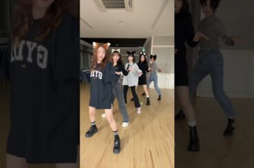 モーニング娘。'25  『はちゃめちゃわちゃライフ！FRUITS ZIPPER』