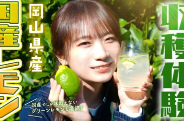 秋元真夏が岡山県へ！希少な国産レモンを収穫体験！