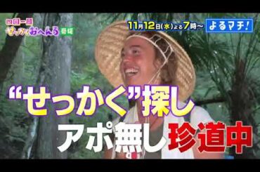 【番宣】大好評！「せっかくおへんろ」今回は”愛媛”！▽不思議!？こだわりスイーツとの出会いも続々!？▽2025-11-12（水）よる７時から！