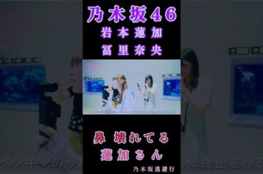 【岩本蓮加💜冨里奈央】『鼻壊れてる れんたん』#岩本蓮加 #冨里奈央 #乃木坂46 #乃木坂逃避行 #ふたりエスケープ