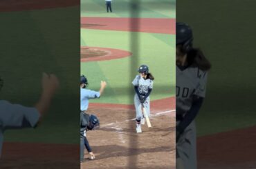 大バズりした千葉商大付のマネージャー。#野球 #高校野球 #shorts