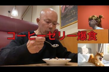 【柴犬飼い主55歳】尾崎を感じながら、コーヒーゼリーを食べ続ける飼い主。