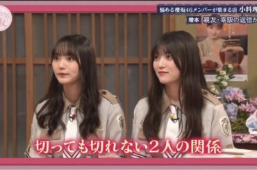 『櫻坂46』そこ曲がったら、櫻坂？【悩める櫻坂46メンバーが集まる店 小料理 天増本 親友・幸阪の返信が遅い】2025.11.7