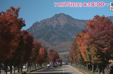 ロコレコは大友花恋！ゲストの旅は朝比奈彩！「旅サラダ」11月15日（土）放送