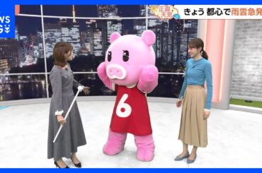 【11月11日 関東の天気】気温ダウン霜の季節｜TBS NEWS DIG