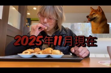 【柴犬飼い主55歳】赤裸々に語る飼い主プロフィール