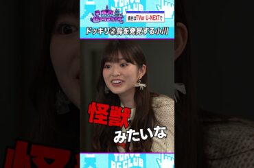 ドッキリが上手すぎる小川彩「デッカい鳥」編 #乃木坂46 #ゲーム実況