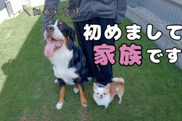 新しい家族ができました！