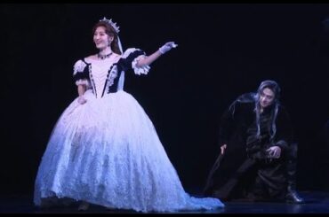 【期間限定】ミュージカル『エリザベート』2025  望海風斗、古川雄大、田代万里生、伊藤あさひ