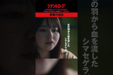 【シナントロープ】第5話 | 衝撃の過去