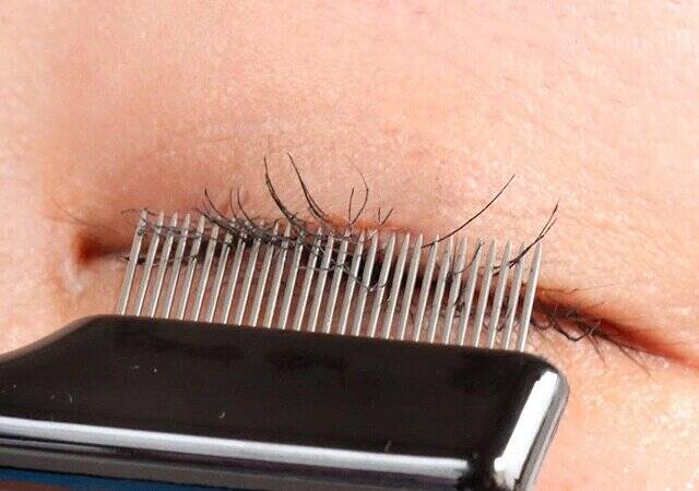 ダイソーのUGT　アイラッシュコーム　08cの使用例