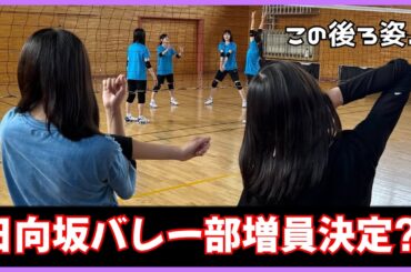 日向坂バレー部増員決定？！この後ろ姿はあの子では？【日向坂４６】