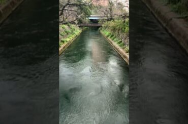 #前橋公園🌸🕊️💨💯#Ado👧#堀優衣✨#鈴木杏奈💯#モーニング娘25👧#山﨑愛生🐼💯#櫻井梨央✨#芭月沙也子🍮#加瀬百✨#西玲名🎺#美麗✨#島津心美🍮#佐藤二朗✨#二宮和也✨#ひろゆき👨