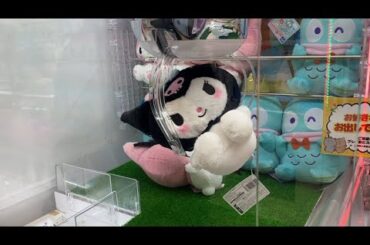 【柴犬飼い主55歳】オヤジがくろみちゃんを狙う！