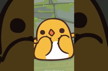 「ボス！」|｜TVアニメ「羅小黒戦記」第6話 #花澤香菜 #佐倉綾音 #潘めぐみ #鬼頭明里 #山寺宏一 #内山昂輝 #茶風林 #宮野真守