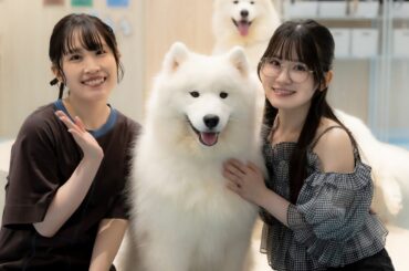 【告知・グッズ情報】 11/16(日)『声優 縁かうんと　るんるん日記』合同イベント開催のお知らせ ｜ 鈴木みのり 花井美春 鈴木絵理 鈴木愛奈