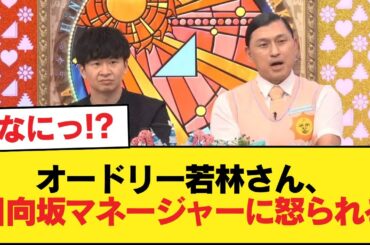 【日向坂46】オードリー若林さん、日向坂のマネージャーに怒られていた【日向坂46HOUSE】#日向坂46 #日向坂 #日向坂で会いましょう #乃木坂46 #櫻坂46