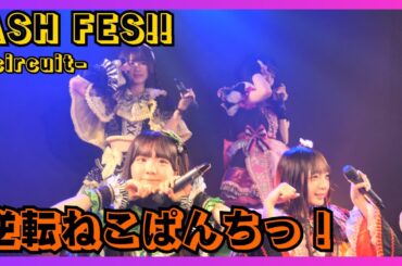 【地下アイドル】逆転ねこぱんちっ！ ASHFES-circuit- 20251026【名古屋アイドル】