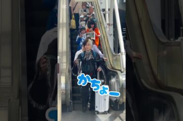 リアルピース会場入り💓#リアルピース #リアルピースなお #リアルピースかちょー