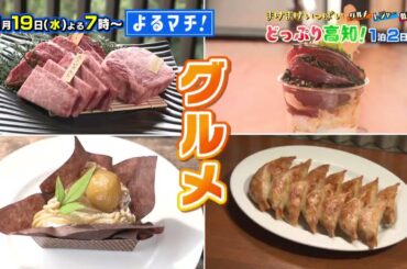 【番宣】高知に泊まろう！まけまけいっぱい！どっぷり高知！1泊2日旅▽よるマチ！2025/11/19（水）よる７時！