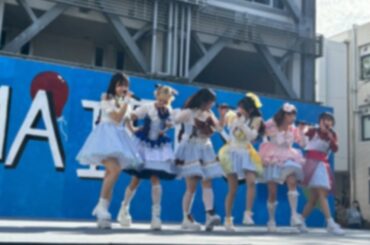 【パンダ山46】僕らはここにいる/ベイビーレイズJAPAN