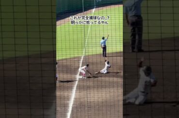野呂監督の最後の夏が台無しに #高校野球 #桐光学園 #日大藤沢